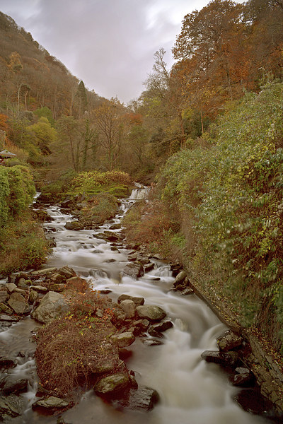 glen lyn Gorge in autumn  Picture Board by graham young