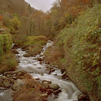 Buy canvas prints of glen lyn Gorge in autumn  by graham young