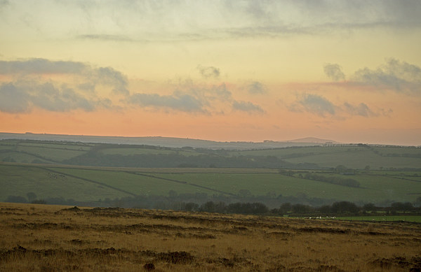 A Winter Evening on Exmoor  Picture Board by graham young