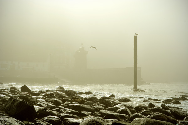 Lynmouth Harbour in a Sea Mist Picture Board by graham young
