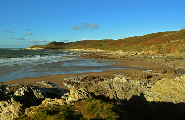 Barricane Beach, Woolacombe Picture Board by graham young