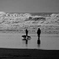 Buy canvas prints of Walking The Dogs at Saunton Sands by graham young