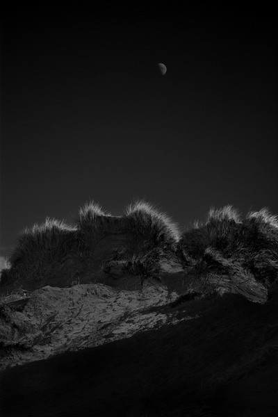 Moonrise Over The Dunes Picture Board by graham young