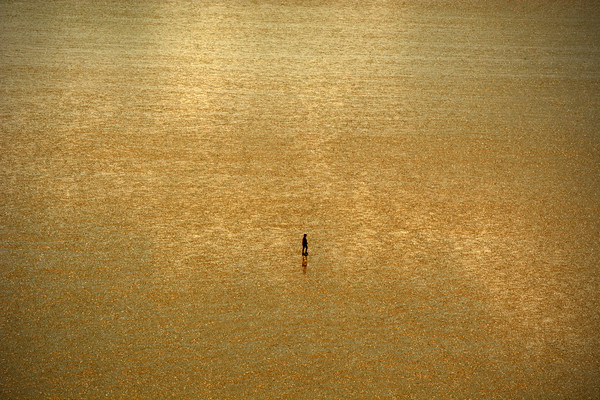 Alone On The Sands Picture Board by graham young
