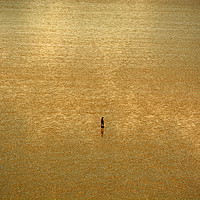 Buy canvas prints of Alone On The Sands by graham young