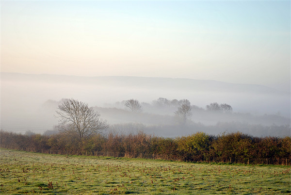 the chilterns in the dawn mist Picture Board by graham young