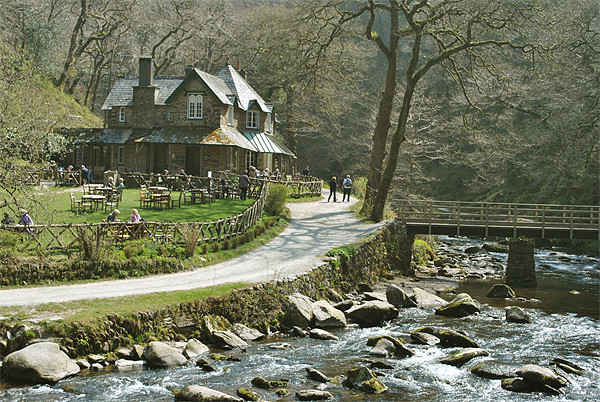 Watersmeet, North Devon Picture Board by graham young