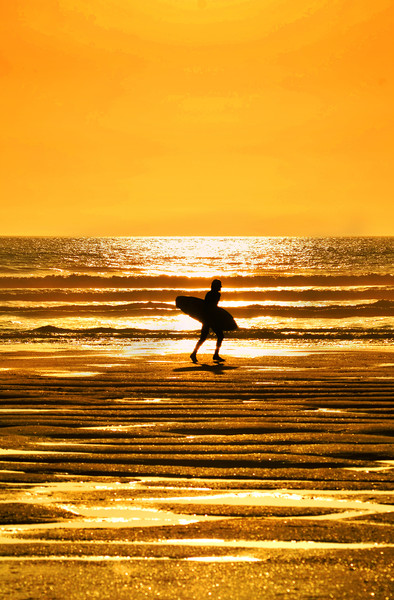 Golden Hour Surfing Picture Board by graham young