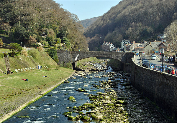 The East Lyn River at Lynmouth Picture Board by graham young
