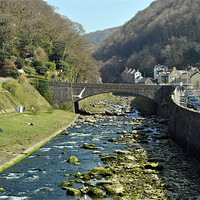 Buy canvas prints of The East Lyn River at Lynmouth by graham young