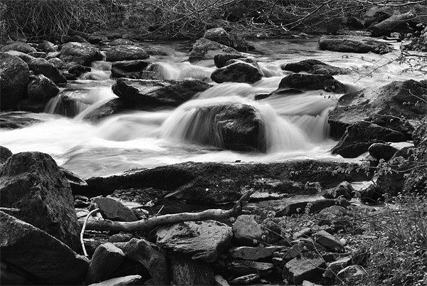 a rocky stream on exmoor b+w Picture Board by graham young