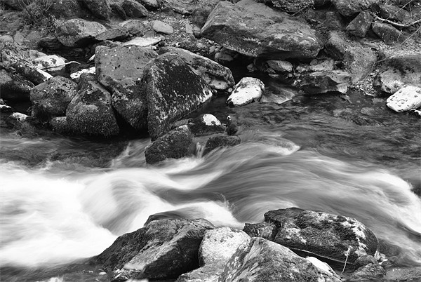 an exmoor stream b+w Picture Board by graham young