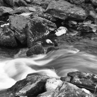 Buy canvas prints of an exmoor stream b+w by graham young