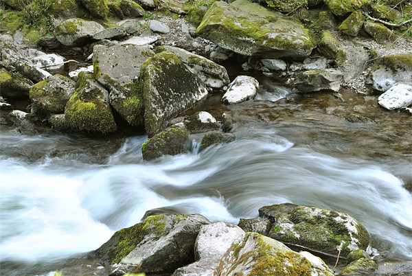 an exmoor stream Picture Board by graham young