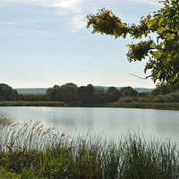 Buy canvas prints of Marsworth Reservoir by graham young