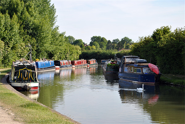 Narrowboats at Marsworth Picture Board by graham young