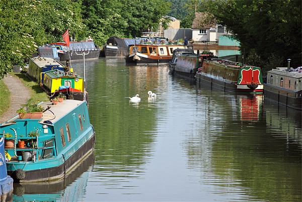 Narrowboats on the Grand Union Canal Picture Board by graham young