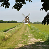 Buy canvas prints of Pitstone Windmill, Buckinghamshire by graham young