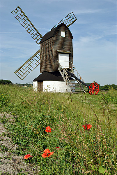 Pitstone Mill, buckinghamshire Picture Board by graham young