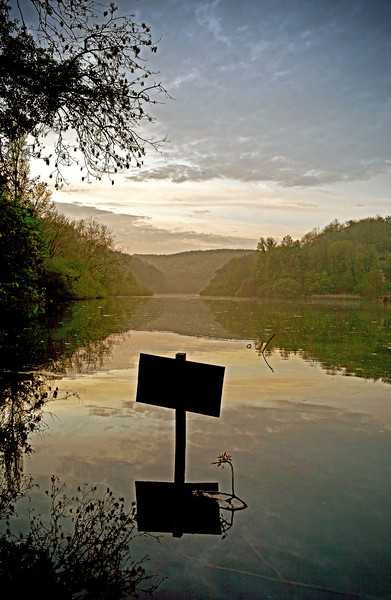 Swanbourne Lake Picture Board by graham young