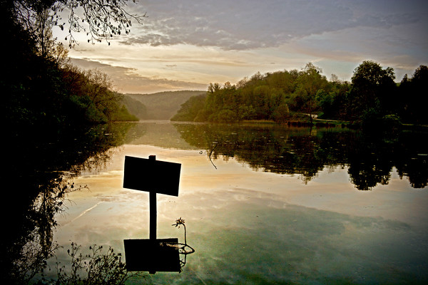 Swanbourne Lake Picture Board by graham young