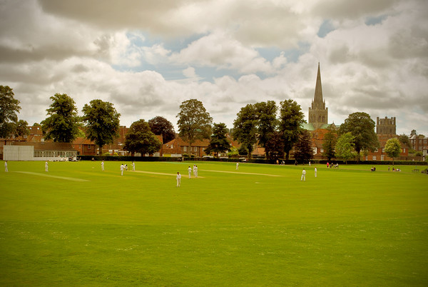 Cricket at Priory Park, Chichester Picture Board by graham young