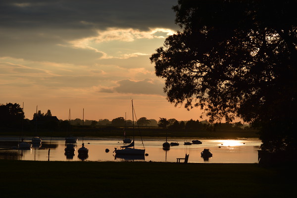 Sunset at Bosham Picture Board by graham young