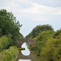 Buy canvas prints of bridge over the aylesbury arm by graham young