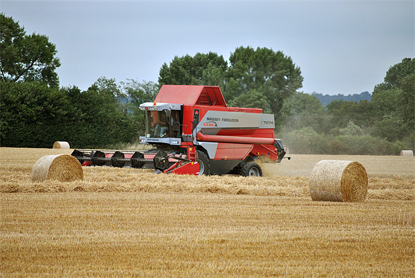 Bringing in the Harvest Picture Board by graham young