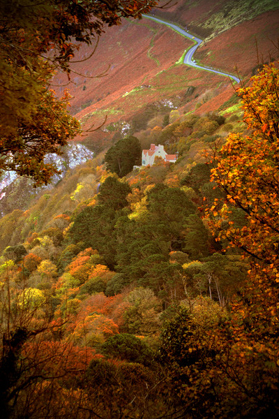 Autumn Colour on Countisbury Hill Picture Board by graham young