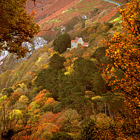 Buy canvas prints of Autumn Colour on Countisbury Hill by graham young