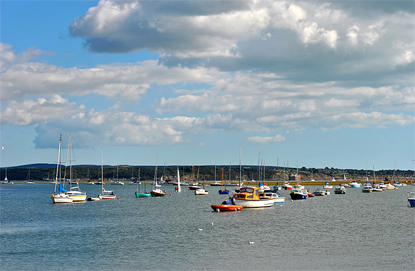 Keyhaven Harbour Picture Board by graham young