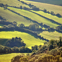 Buy canvas prints of Exmoor by graham young