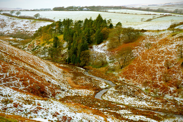 The Barle Valley In Winter Picture Board by graham young