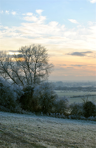 A Frosty Morning in the Chilterns Picture Board by graham young