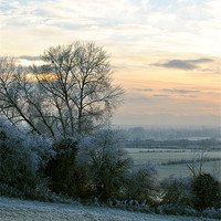 Buy canvas prints of A Frosty Morning in the Chilterns by graham young