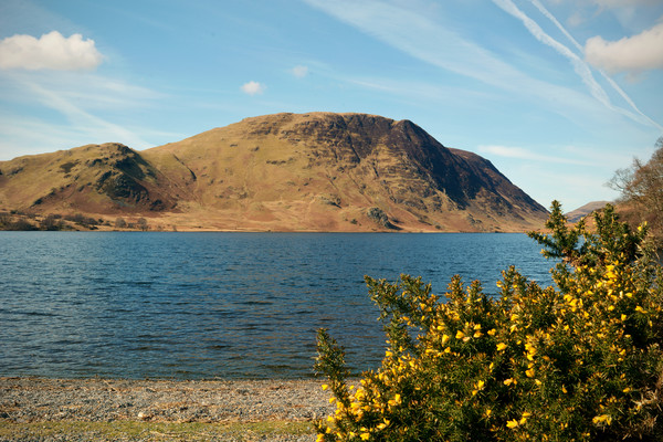 Crummock Water in Springtime Picture Board by graham young