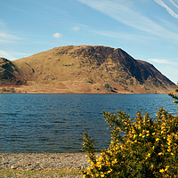 Buy canvas prints of Crummock Water in Springtime by graham young
