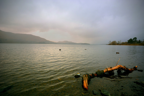 Derwentwater under a stormy sky Picture Board by graham young