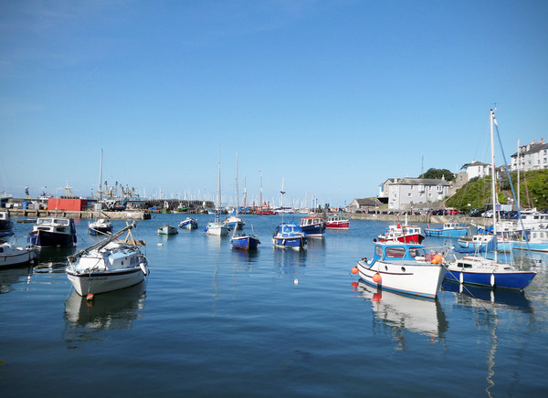 Brixham Harbour Picture Board by graham young