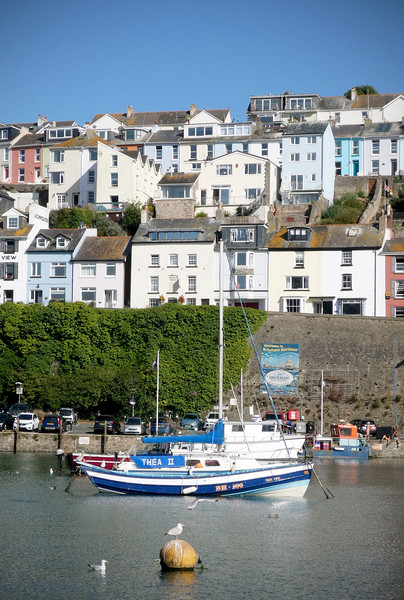 A Sunny Day in Brixham Picture Board by graham young