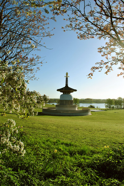 The Peace Pagoda at Willen Picture Board by graham young