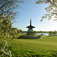 Buy canvas prints of The Peace Pagoda at Willen by graham young
