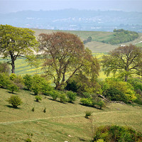 Buy canvas prints of Springtime at Ivinghoe Beacon by graham young