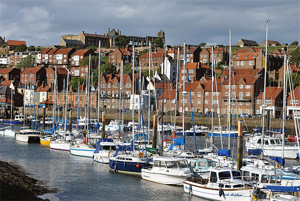 Whitby Marina Picture Board by graham young