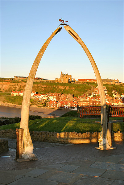 The Whalebone Arch, Whitby Picture Board by graham young