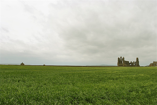 Whitby Abbey Picture Board by graham young
