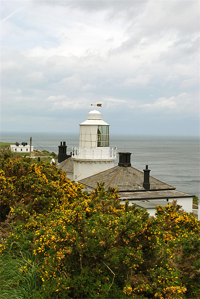 Whitby High Lighthouse Picture Board by graham young