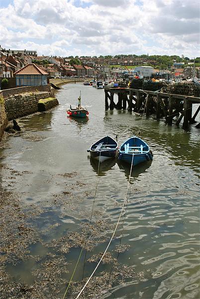 Fishing Boats at Whitby Picture Board by graham young