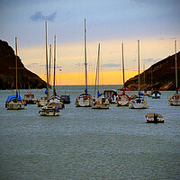 Buy canvas prints of Watermouth Harbour at Dusk  by graham young